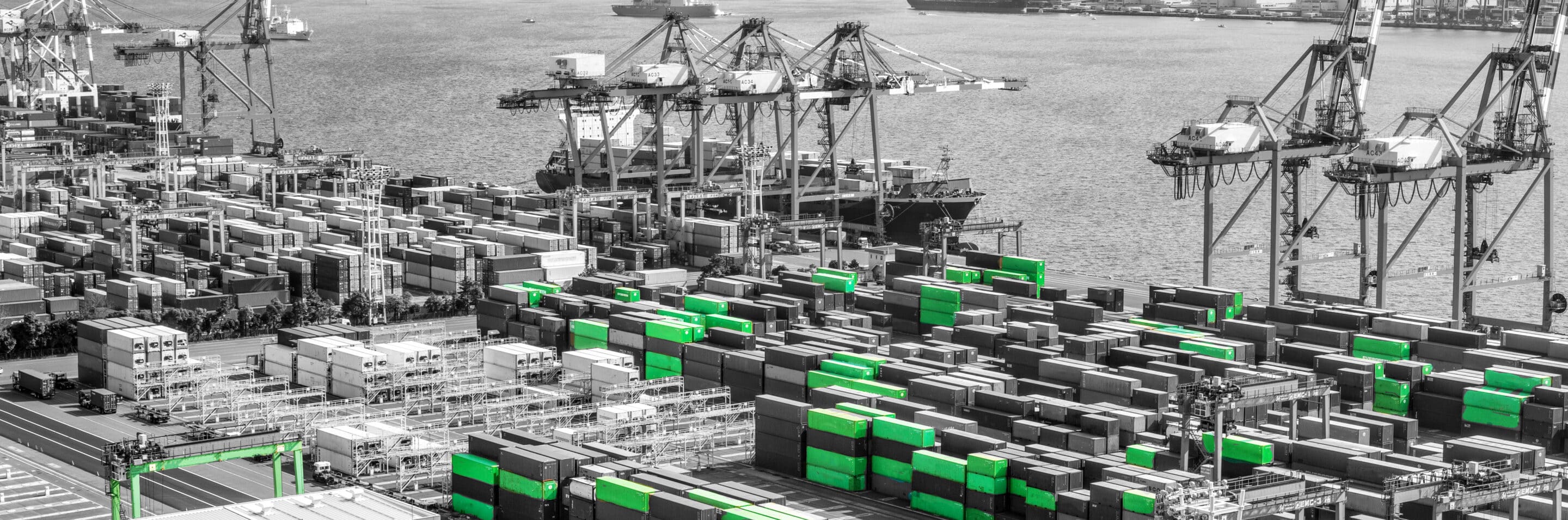 Transloading Services - Ward Logistics: port with containers by the hundreds
